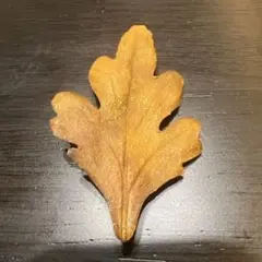 Item thumbnail for item d7e8fd0b-1da5-41ce-8e5e-b3a183dea3eb