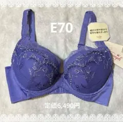 トリンプ　ブラジャー　E70　定価6,490円　新品タグ付き　匿名配送