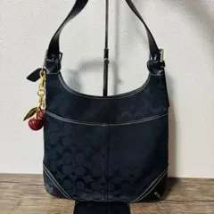 COACH コーチ ショルダーバッグ 2way シグネチャー ブラック レザー