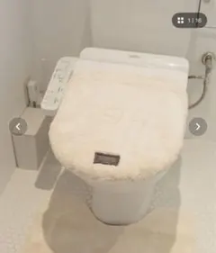 Item thumbnail for item 1d0d1c10-8fb1-4b4d-bd50-f3e0525f2142