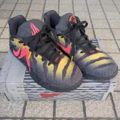 NIKE Ja3 EP ジュラシックパーク　RAPTOR 27.5