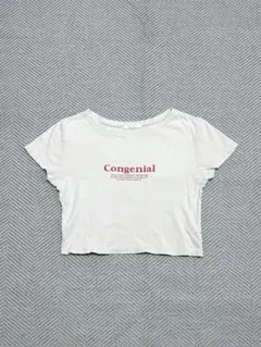 美品 REDYAZEL カットソー Tシャツ ライトグレー Free