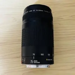 2026年最新】canon 75-300 4-5.6 IIの人気アイテム - メルカリ