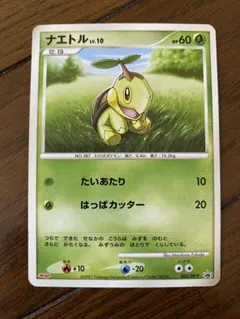 ナエトル PROMO DPプロモーションカード 072/DP-P | Mercari