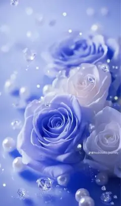 jumplove様オーダー品