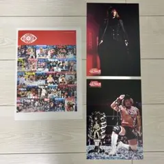 内藤哲也 スポーツ選手