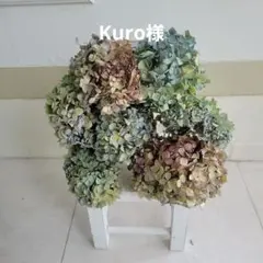 紫陽花　アジサイ　ドライフラワー　②のサムネイル