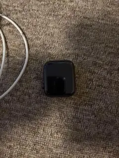 パ*グ様 Apple Watch本体 SE 44ブラック 充電器付き