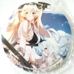 Fate FGO アン・ボニー&メアリー・リード 缶バッジ 水着 セガ