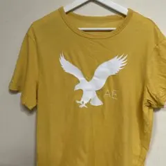 Item thumbnail for item f1de1700-c87b-45ef-9eeb-6c20abe3a102