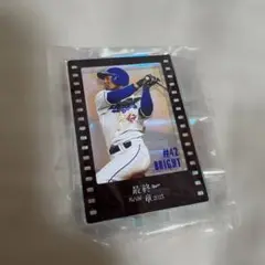 中日ドラゴンズ ブライト健太 選手 アクリルスタンド