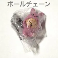 SKZOO つまつな パピーム カニカン ガチャ straykids スキズ