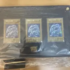 安値❗️海馬セット 輸送箱 新品未開封 シクブル3枚 遊戯王OCG - メルカリ