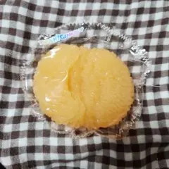 スクイーズ みかん オレンジ 果汁