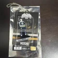 HOME SEVENTEEN ホシ