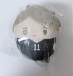 ハイキュー くじメイト D賞 ふわコロりん 宮治