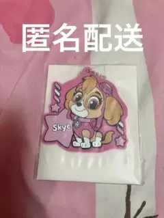 バウ・パトロール　おなまえラバーチャーム　Skye