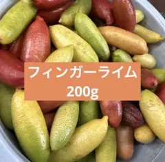 フィンガーライム　200g 果実　柑橘のサムネイル
