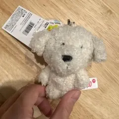 Item thumbnail for item 05e28906-3516-4ac4-aec5-2b9206c7568d