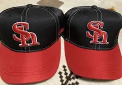 Item thumbnail for item 5f1ee6a4-679e-47a5-ae35-9909776c3e70