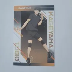 ハイキュー!! 影山飛雄 ポストカード　アニメイト購入特典
