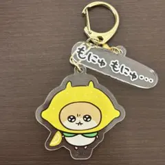 プロフ必読様 リクエスト 2点 まとめ商品