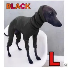 イタグレ新品 犬服 イタリアングレートハウンド イタグレ 首元あたたか　冬のサムネイル