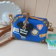 ＊東京ディズニーシー＊ミッキー＆ダッフィーのスプリングヴォヤッジ　カメラケース