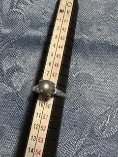 Item thumbnail for item e288d1bb-ef1a-400c-8605-e379351240c7