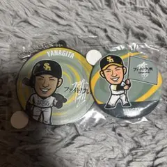 若鷹ガチャ 柳田悠岐 ファイト！九州 缶バッジセット