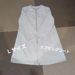 Item thumbnail for item 5d66999c-60d1-4d8c-9b5d-196ab7e4d23a