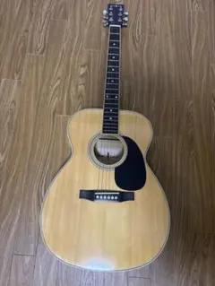 Wood Land アコースティックギター 本体のサムネイル