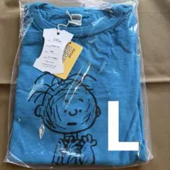 新品】ウエアハウス PEANUTS PIGPEN Tシャツ ピーコックブルー - メルカリ
