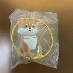 わんこのタイムカプセル♡まめ