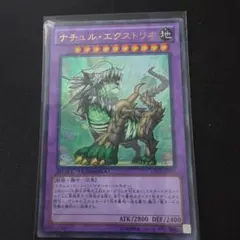 ナチュル・パルキオン ウルトラ DT 1103 ゲートボール - メルカリ