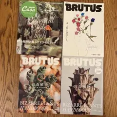 4冊まとめて。珍奇植物　ブルータス　雑誌　コーデックス ビザールプランツ