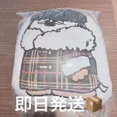 Item thumbnail for item 6f3309f0-10a9-4cd8-ab0a-bd69e9c6aae9