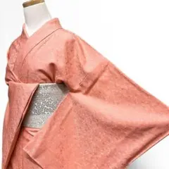 未着用　色無地　花菱地紋　花地紋　一つ紋　着物　115 p ms