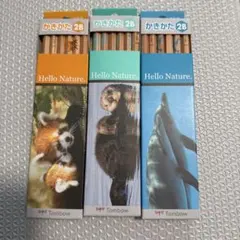 Item thumbnail for item a1d39ddf-e9dd-4cef-a6ca-a21dc2ecf74a