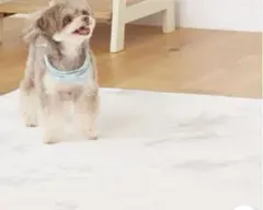 Item thumbnail for item 83d229a9-5f55-4b24-9d77-706d4a9d7f43