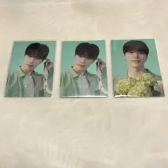 ディノ フォトカード HANABI