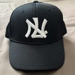 2026年最新】西鉄ライオンズの人気アイテム - メルカリ