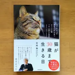 Item thumbnail for item 7336a392-124b-4ab3-8c7c-675fadd1b254