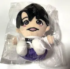 2025年最新】大西風雅 ちびぬいの人気アイテム - メルカリ