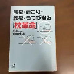 頭痛・肩こり・腰痛・うつが治る「枕革命」