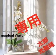 光触媒 人工観葉植物 ウォールグリーン フェイクグリーン スピンドル 