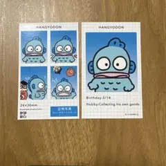 ハンギョドン　証明写真風スマロイド