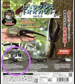 ヘラクレスオオカブト　ガチャ