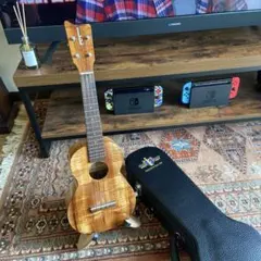 Item thumbnail for item da714aae-ecf0-45f1-b2f8-8022b9cc5a60