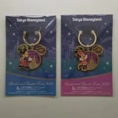 東京ディズニーランド・キーホルダー　新品未開封・非売品